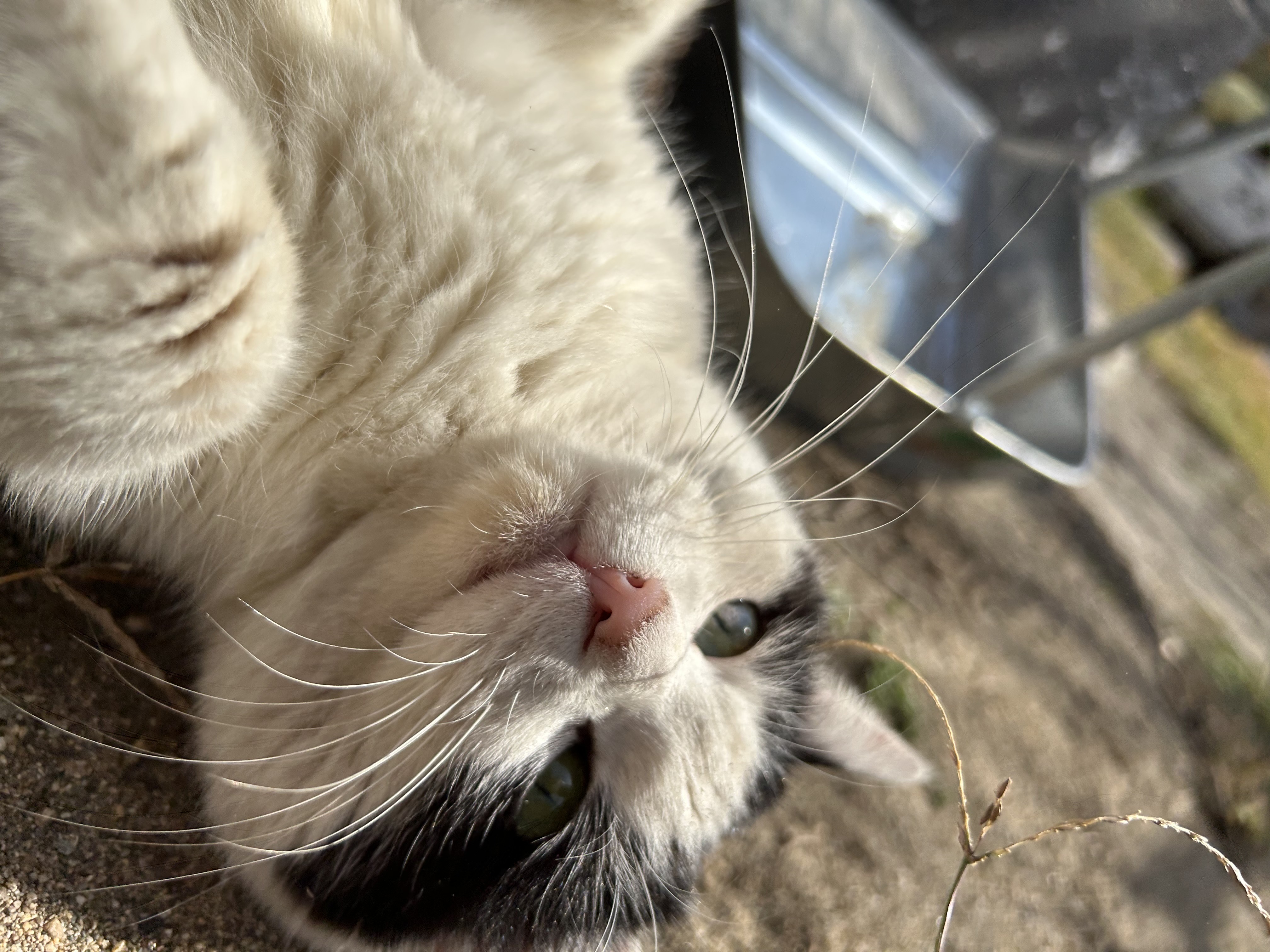 🌷4月5月の予約が始まります🎏