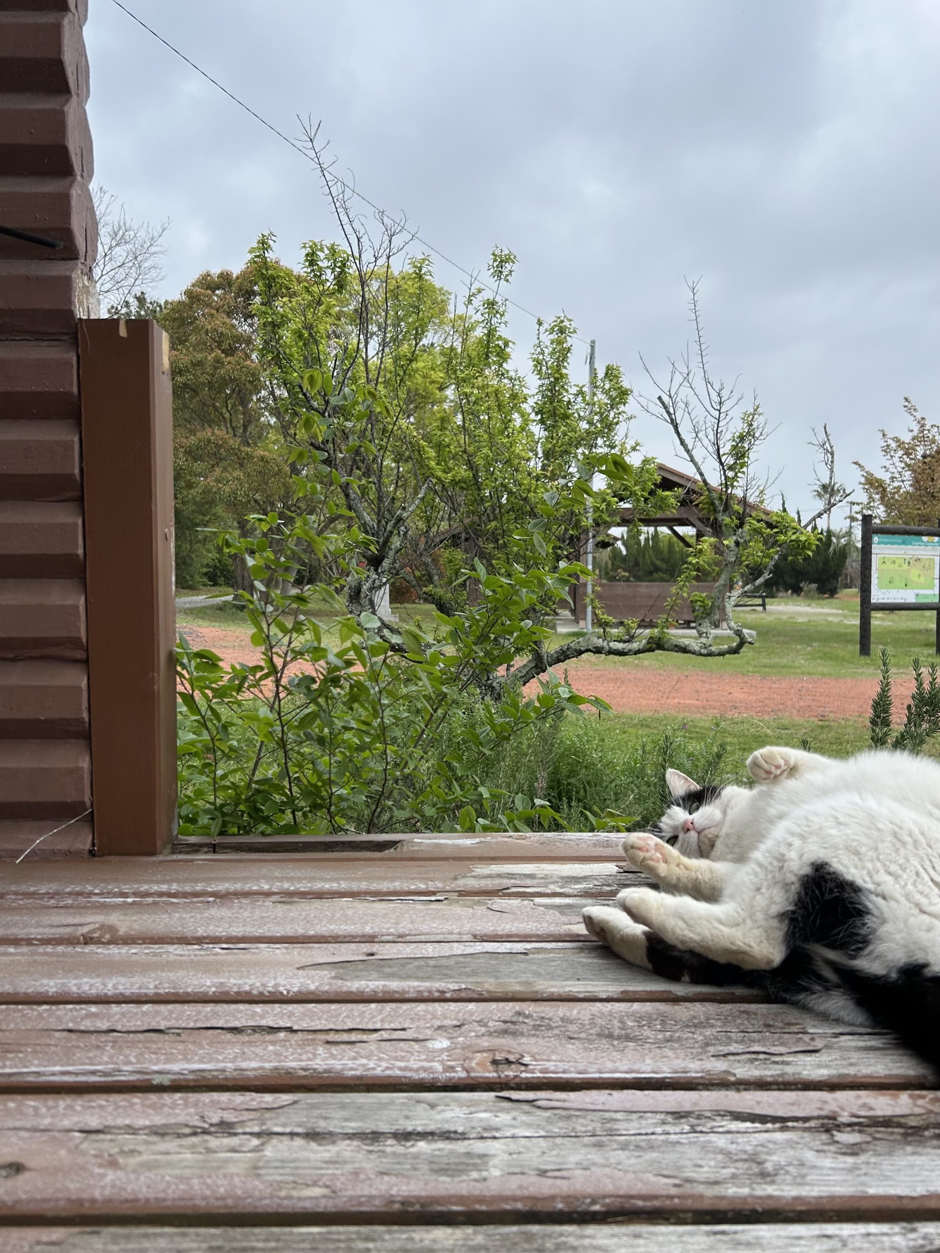 ポイントカード特典変更のお知らせ