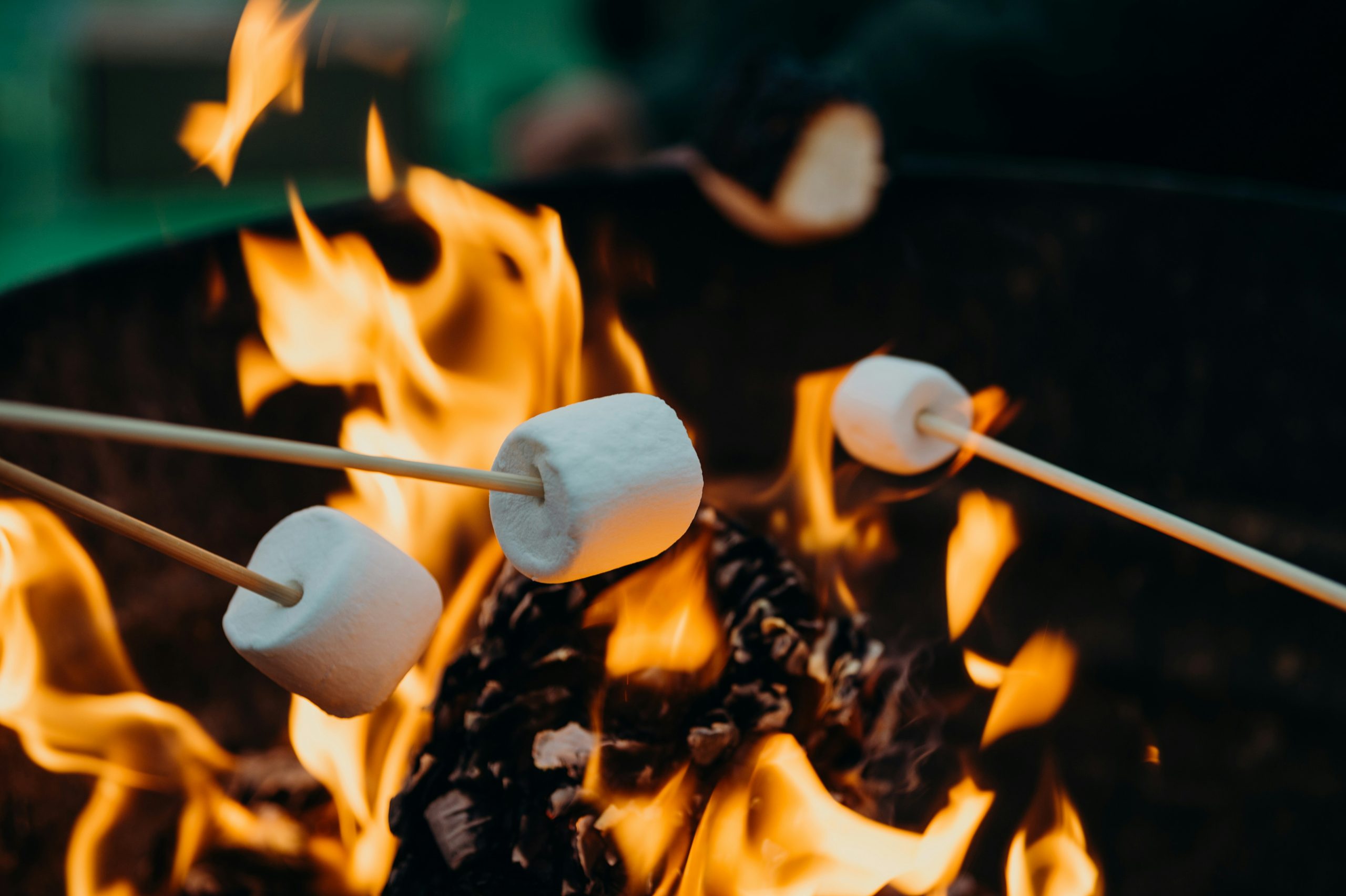 🔥11月の予約が始まっています⛺